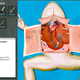 Illustration for article titled Dissect Virtual Frogs Every Day of the Week, Not Just When Mr. Haycroft Tells You